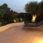 Garden night.jpg